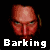 barkingstock4u
