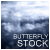 butterfly-stock