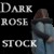 :icondark-rose-stock: