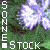 sonne-stock