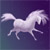 :iconthe-starhorse: