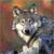 :iconwild19wolves: