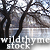 :iconwildthyme-stock: