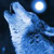:iconwolf-spirits-united: